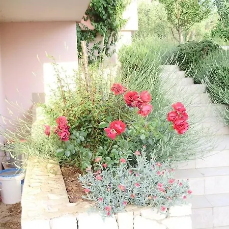 In Okrug Gornji With Sea View, Balcony, Air Conditioning, Wifi 5048-4 * Trogir